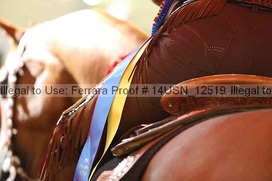 Proof 14usn_12519