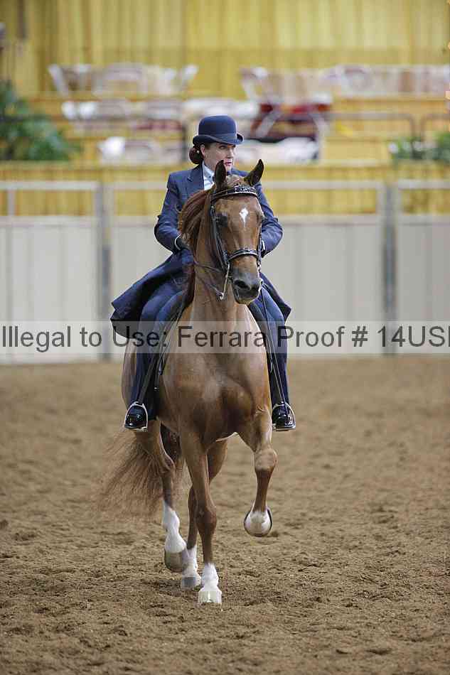 Proof 14usn_00201
