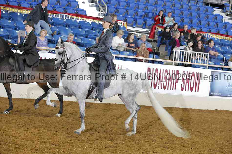 Proof 14usn_00205