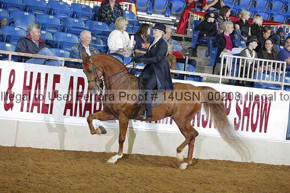 Proof 14usn_00208