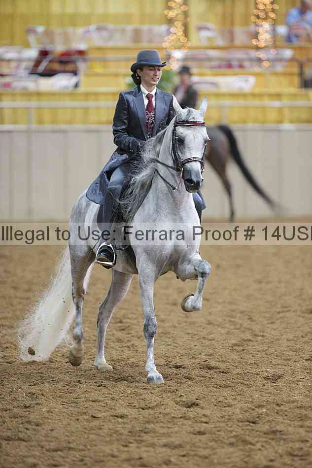 Proof 14usn_00210