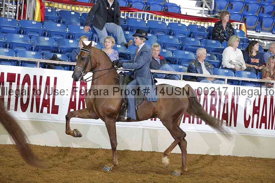 Proof 14usn_00217