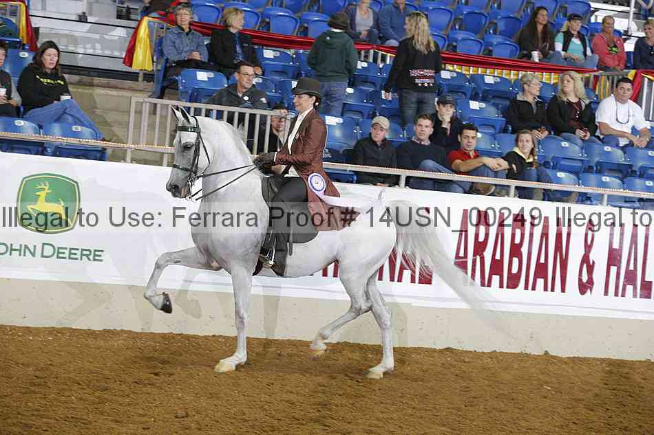Proof 14usn_00249