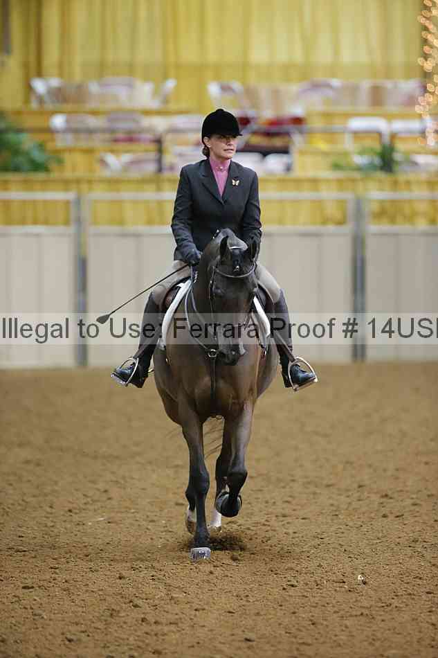 Proof 14usn_10385