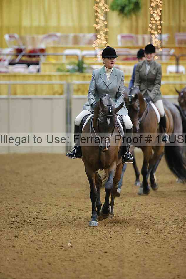Proof 14usn_10393