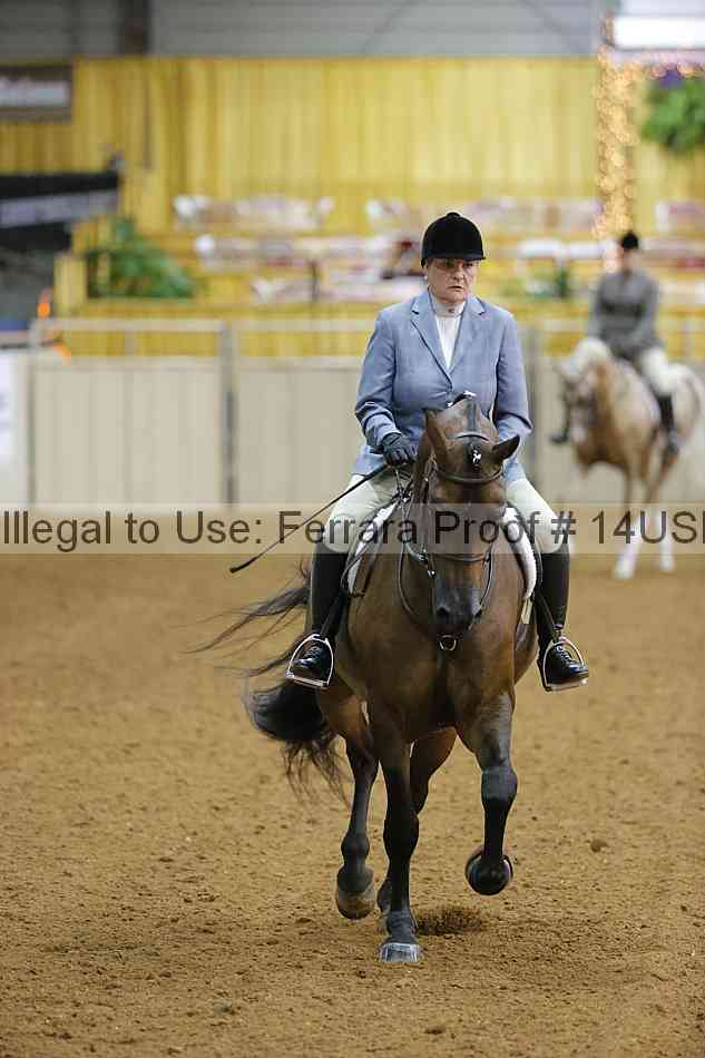 Proof 14usn_10401