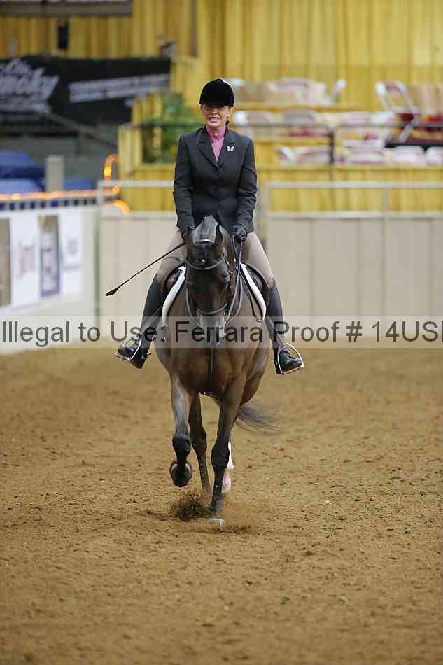 Proof 14usn_10414