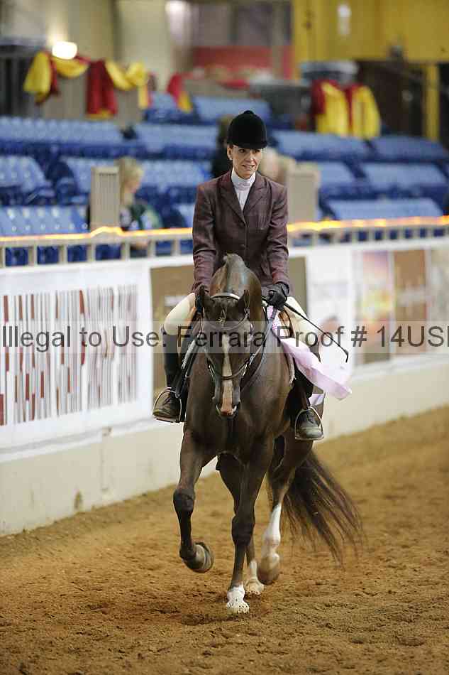 Proof 14usn_10429