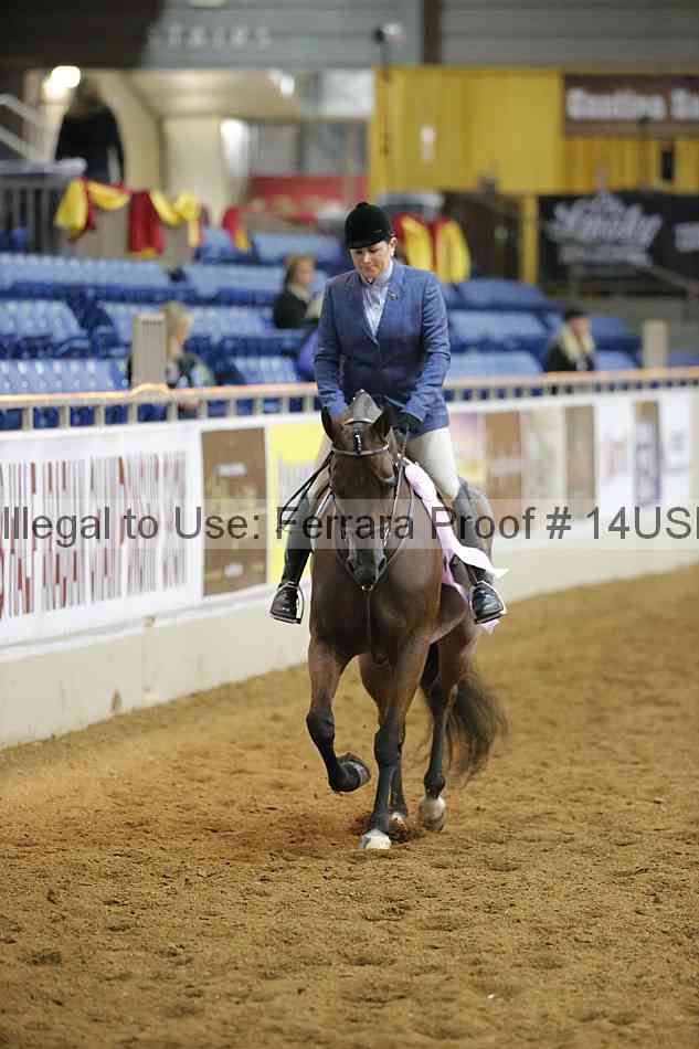 Proof 14usn_10431