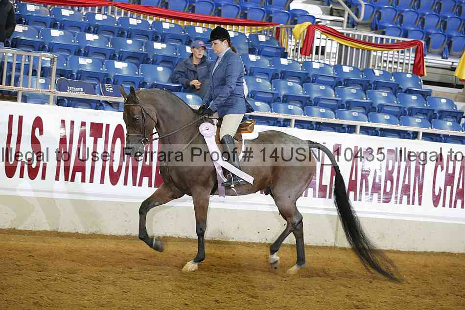 Proof 14usn_10435