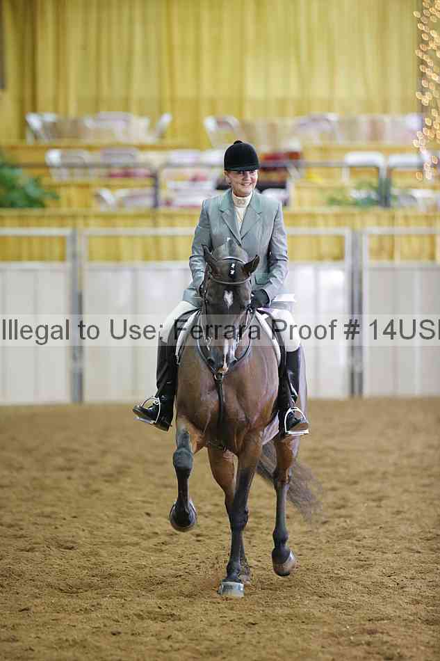 Proof 14usn_10439