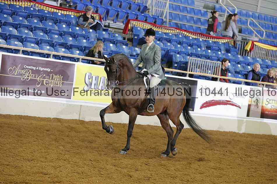 Proof 14usn_10441