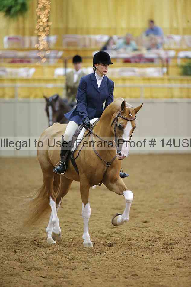 Proof 14usn_10467
