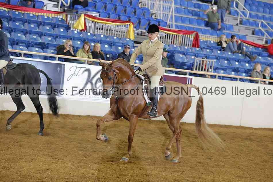 Proof 14usn_10469