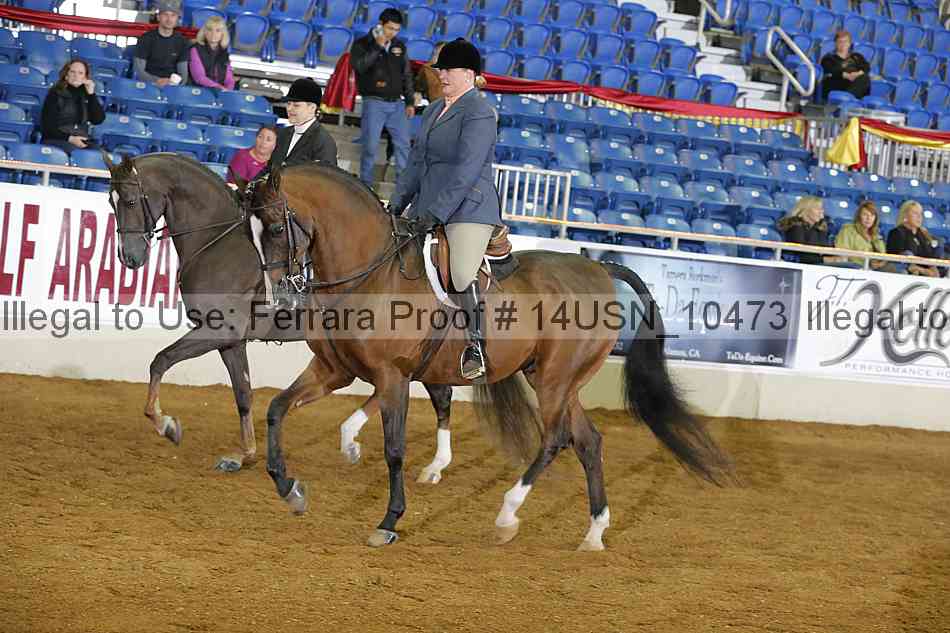 Proof 14usn_10473