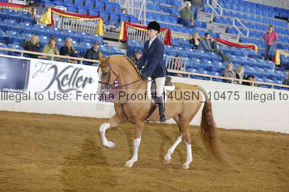 Proof 14usn_10475