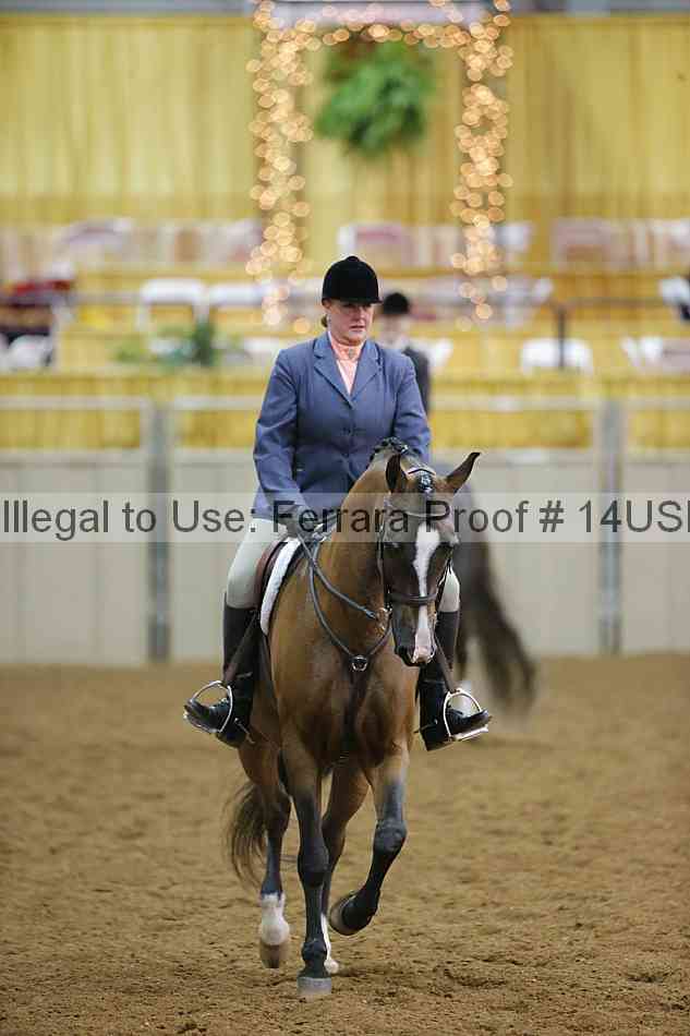 Proof 14usn_10478