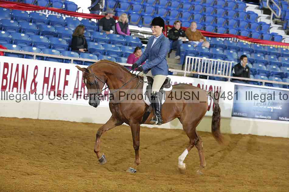 Proof 14usn_10481