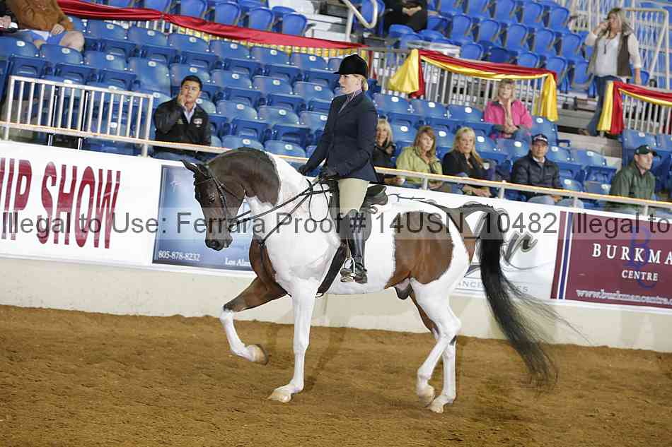 Proof 14usn_10482