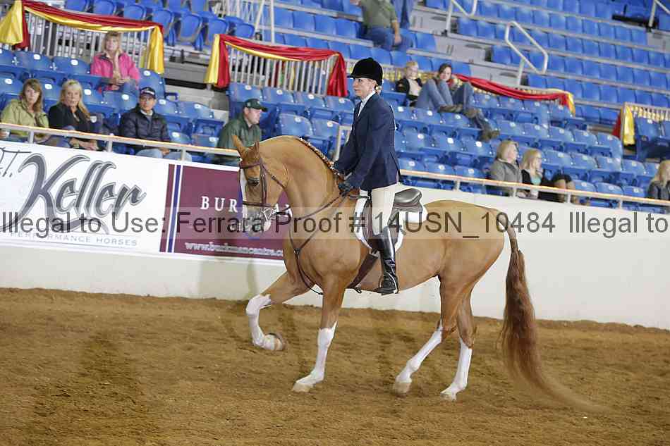 Proof 14usn_10484