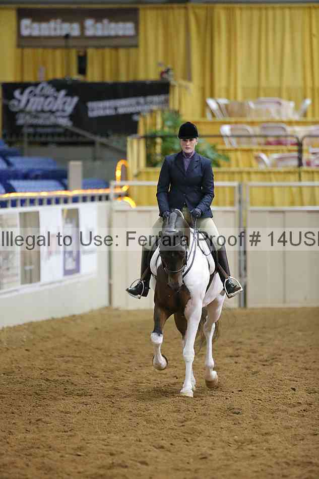 Proof 14usn_10486