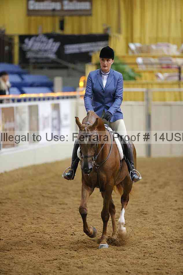 Proof 14usn_10495