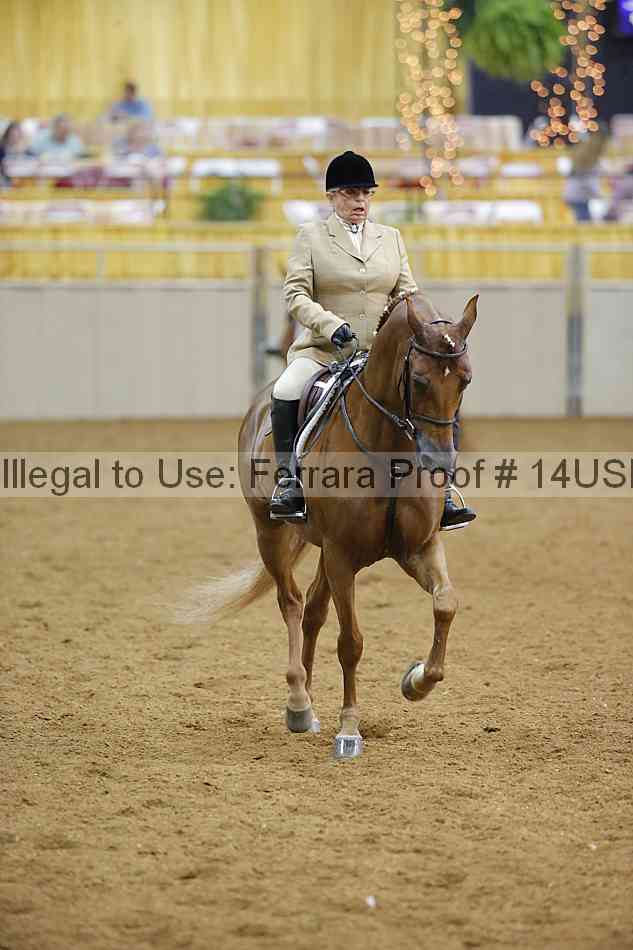 Proof 14usn_10498