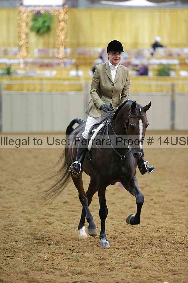 Proof 14usn_10510