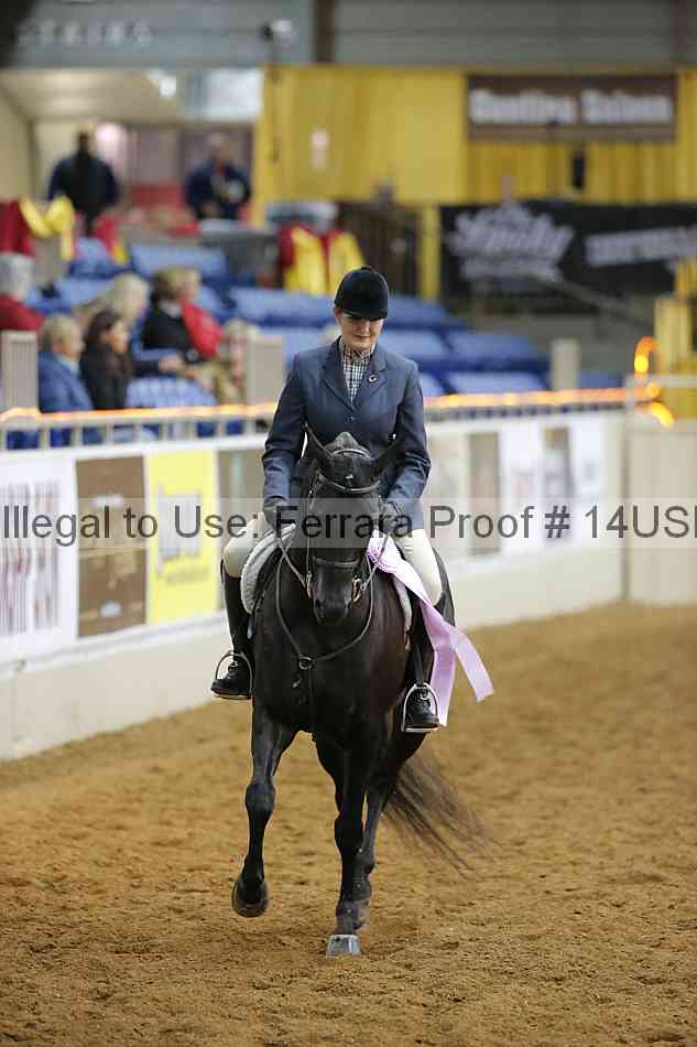 Proof 14usn_10514