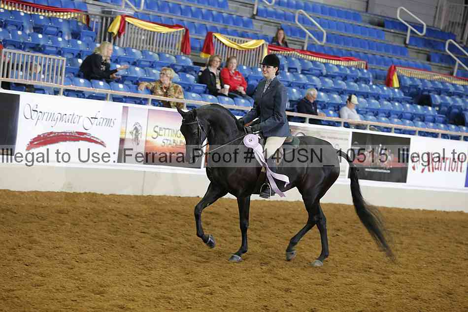 Proof 14usn_10515