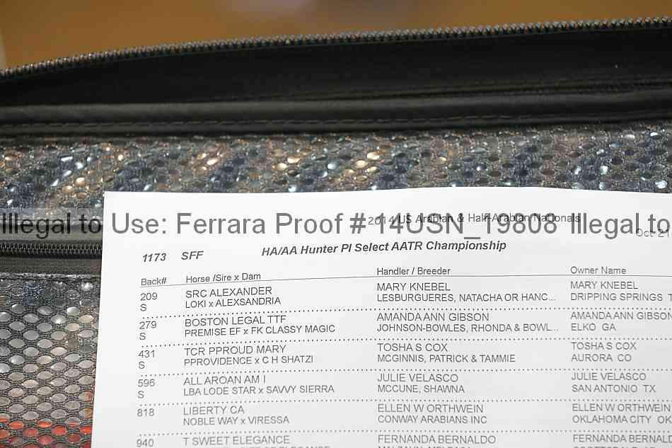 Proof 14usn_19808