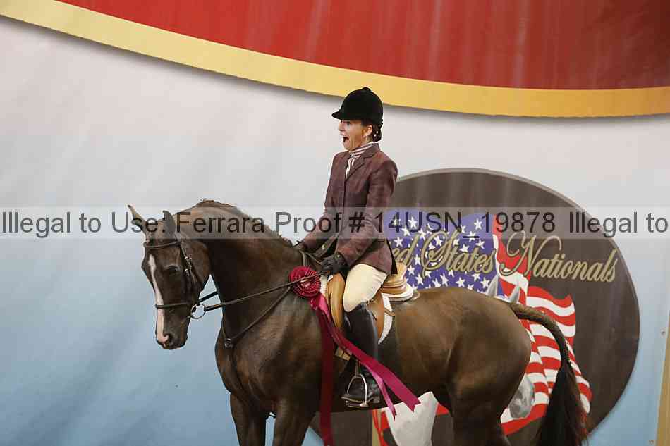 Proof 14usn_19878