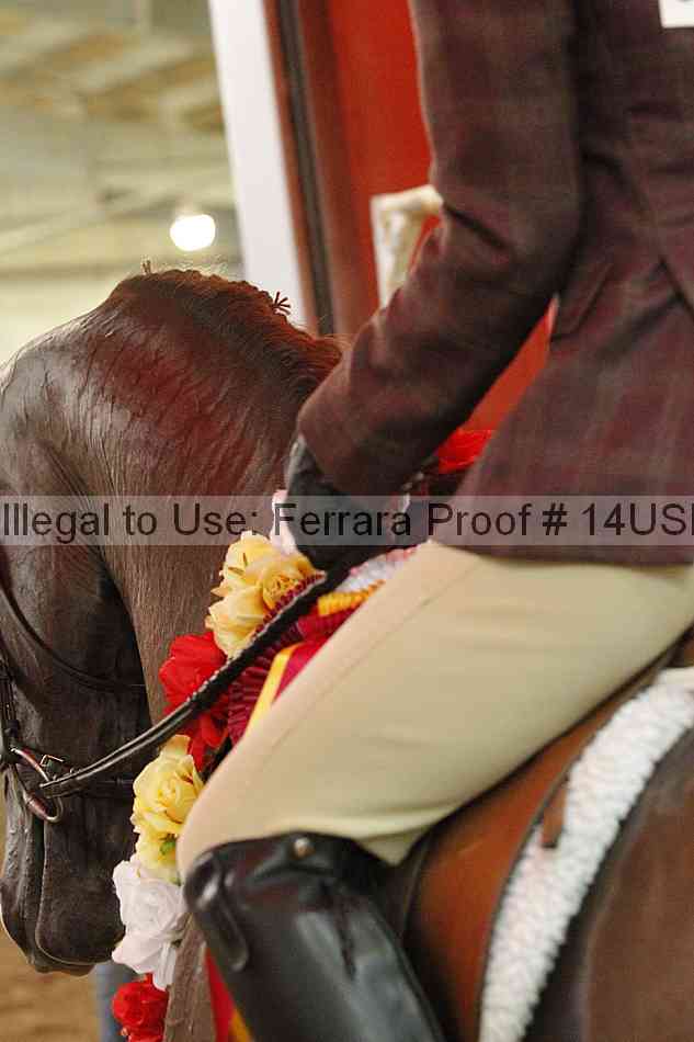 Proof 14usn_20002