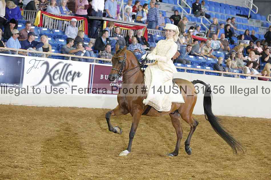 Proof 14usn_31456