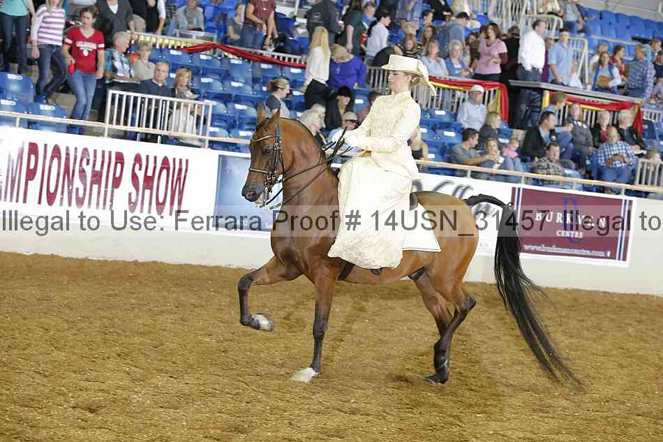 Proof 14usn_31457