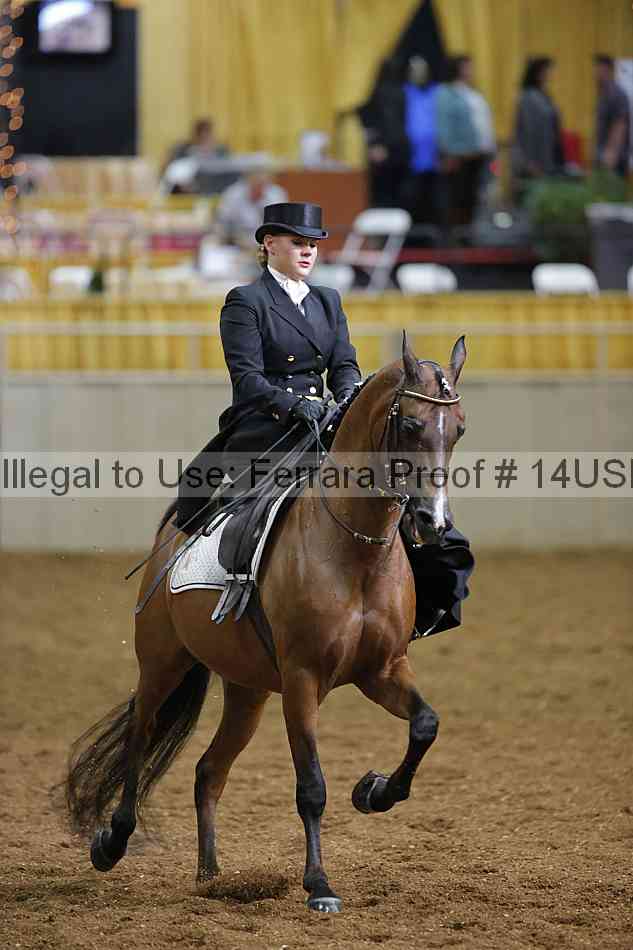 Proof 14usn_31460