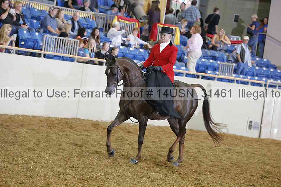 Proof 14usn_31461
