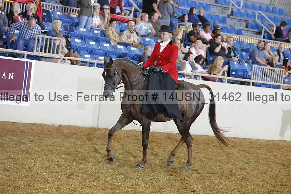 Proof 14usn_31462