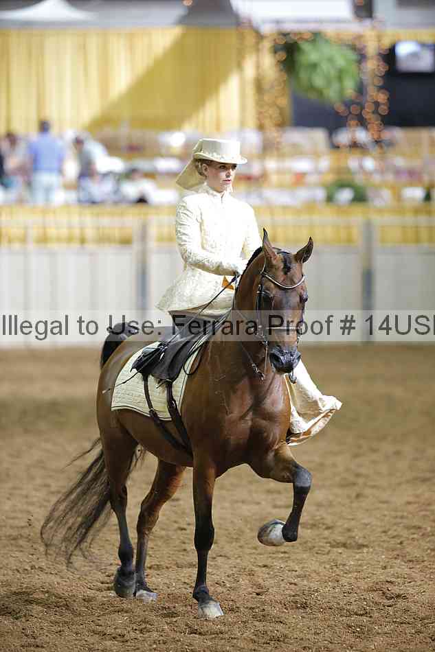 Proof 14usn_31463