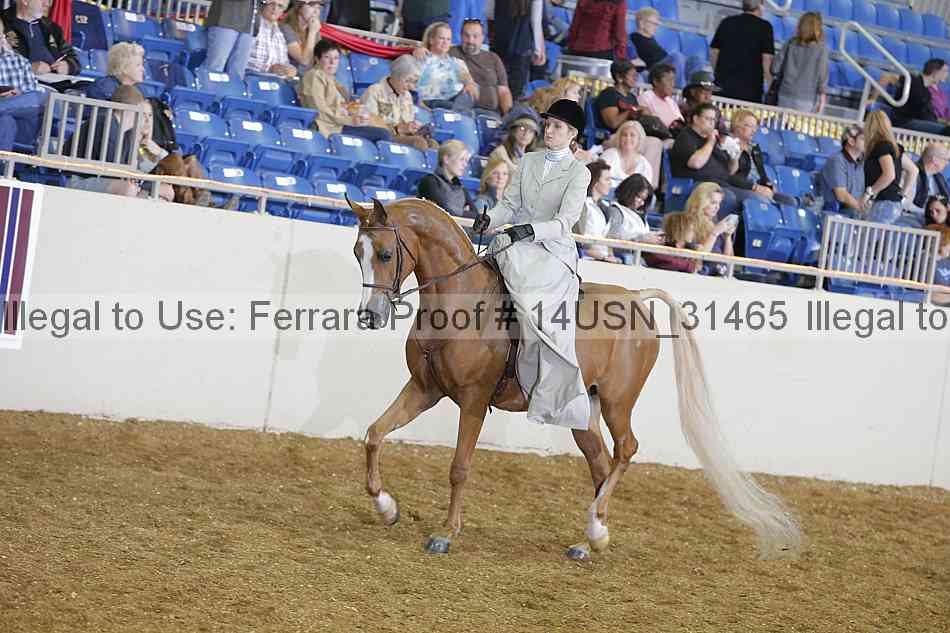 Proof 14usn_31465
