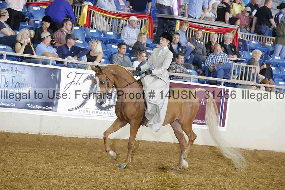 Proof 14usn_31466