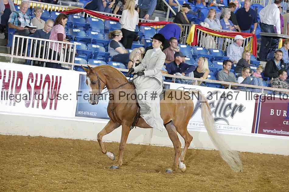Proof 14usn_31467