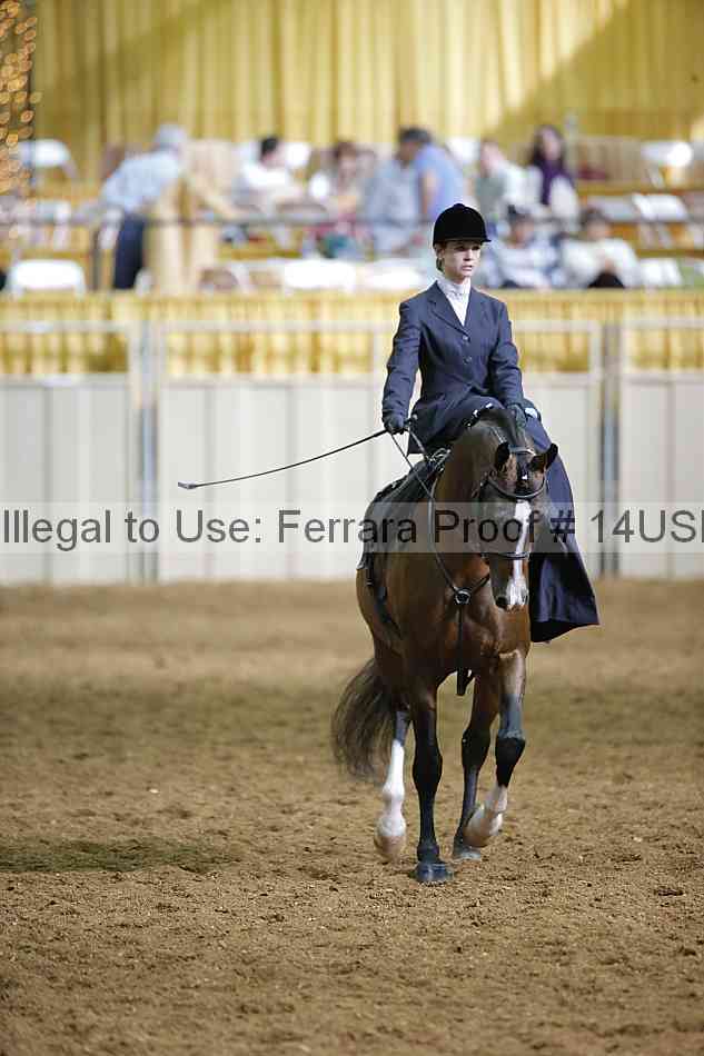 Proof 14usn_31468