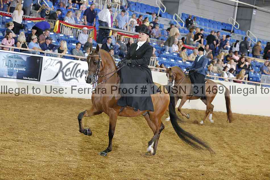 Proof 14usn_31469