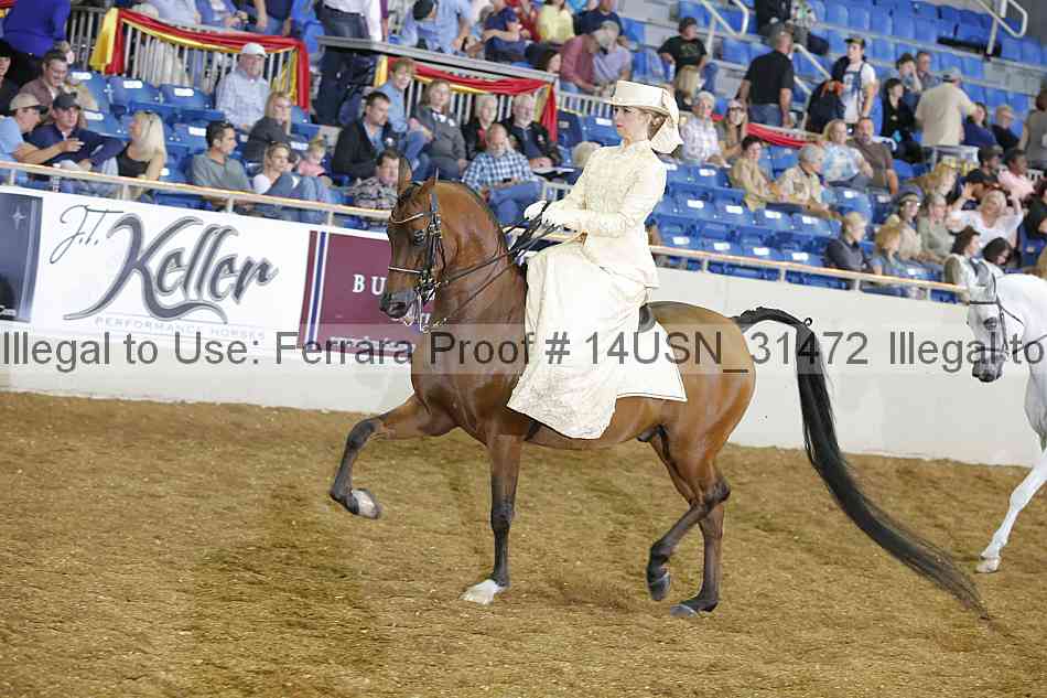 Proof 14usn_31472