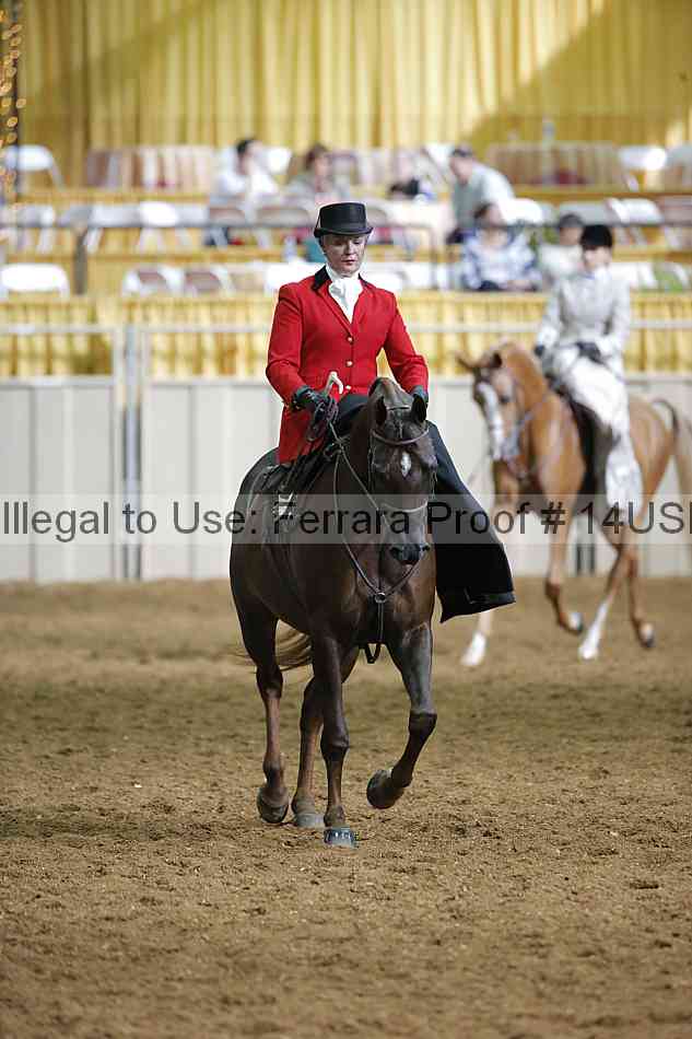 Proof 14usn_31473
