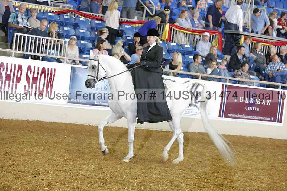 Proof 14usn_31474