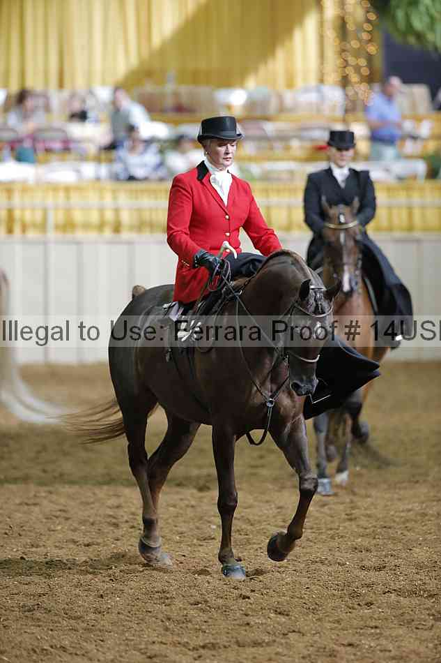 Proof 14usn_31475
