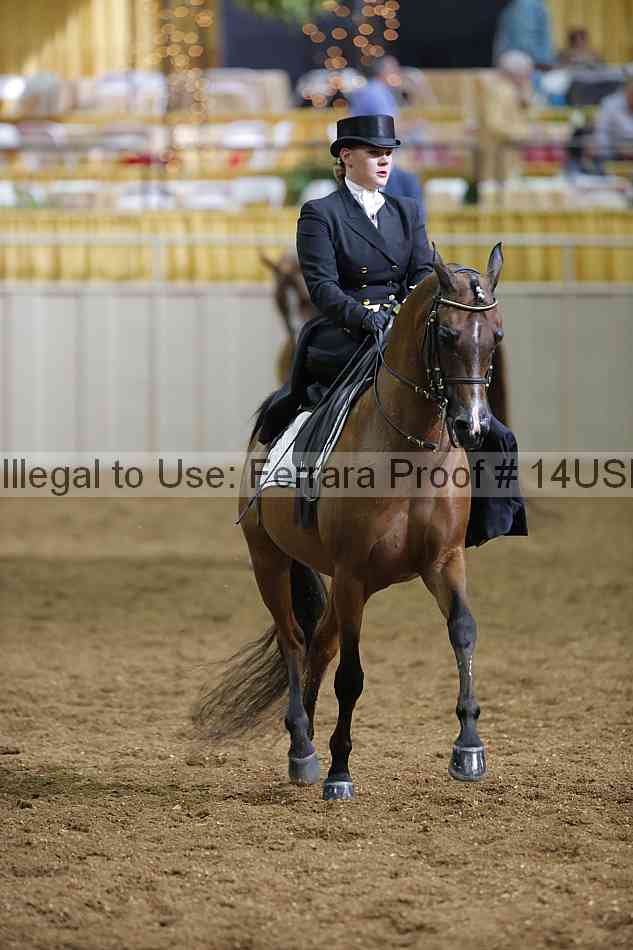 Proof 14usn_31476