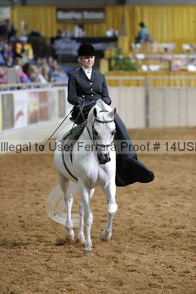 Proof 14usn_31484